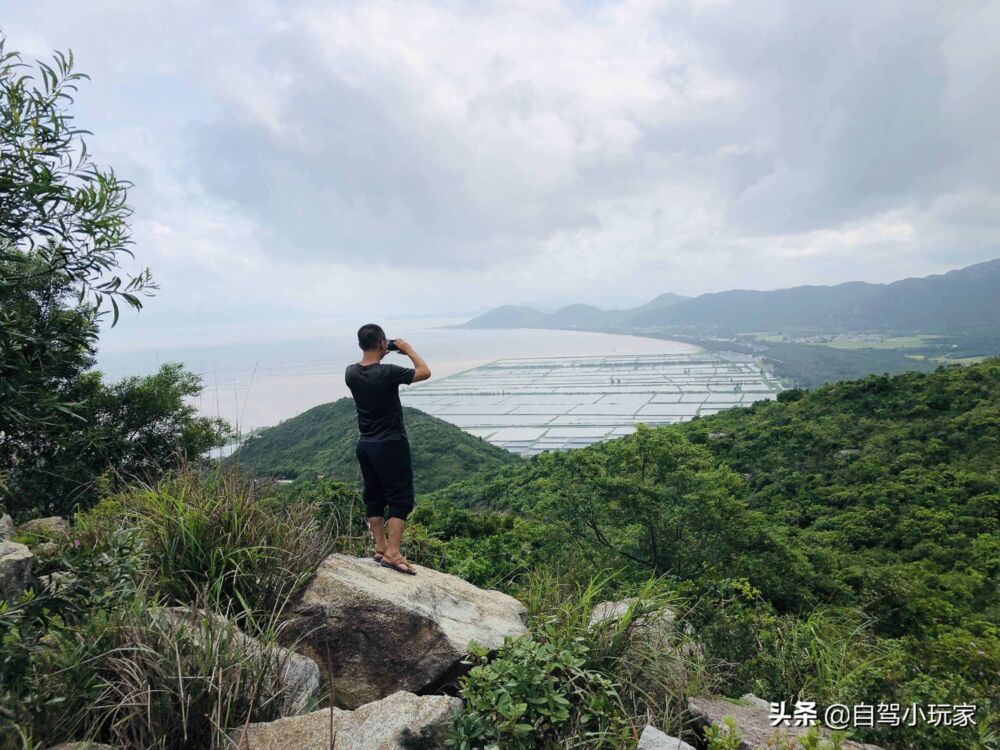 广东一座可开车登顶的风车山，满山野稔子免费摘，露营野炊一级棒