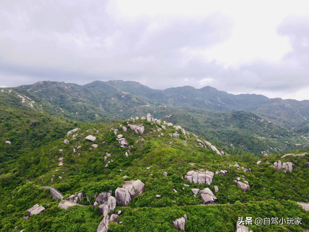 广东一座可开车登顶的风车山，满山野稔子免费摘，露营野炊一级棒