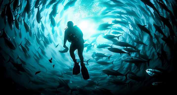 深入水下一万米，在海洋最深处的马里亚纳海沟，人类发现了什么？
