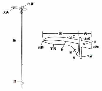 戈——《汉字的字元·工具与器皿》