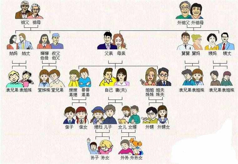 太实用了，家庭关系汇总！再也不会叫错了