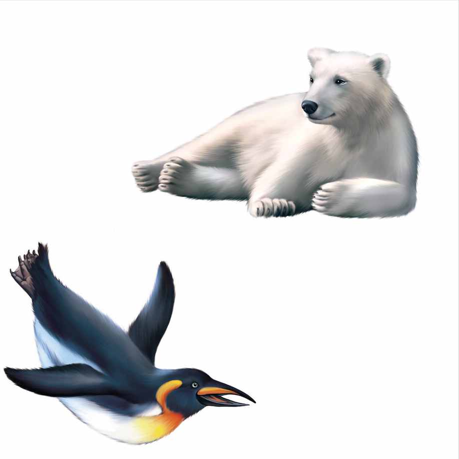 陆地最大食肉动物北极熊，如果去了南极，能极限生存挑战企鹅吗？