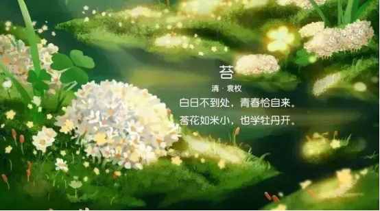 烟花散去意未尽（下）台风与飓风有什么区别？