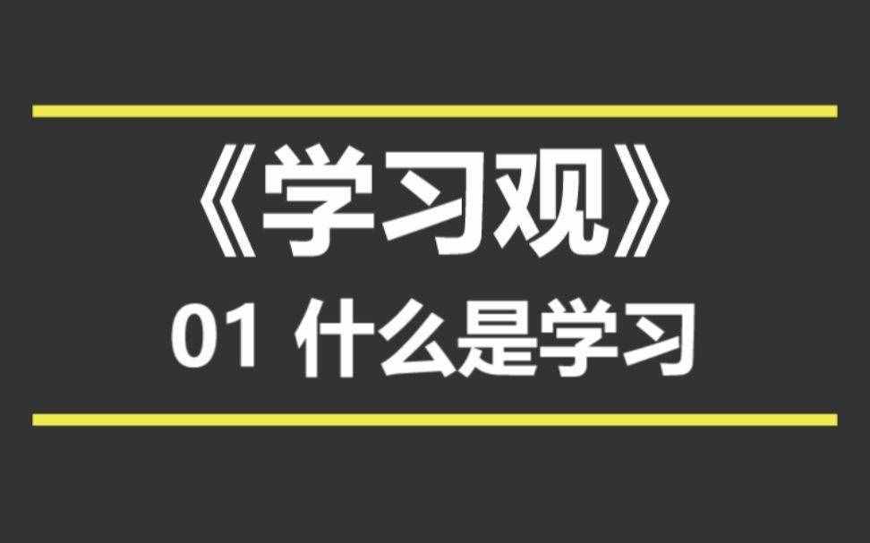 在家不无聊，B站视频刷不停——高质量珍藏UP主推荐