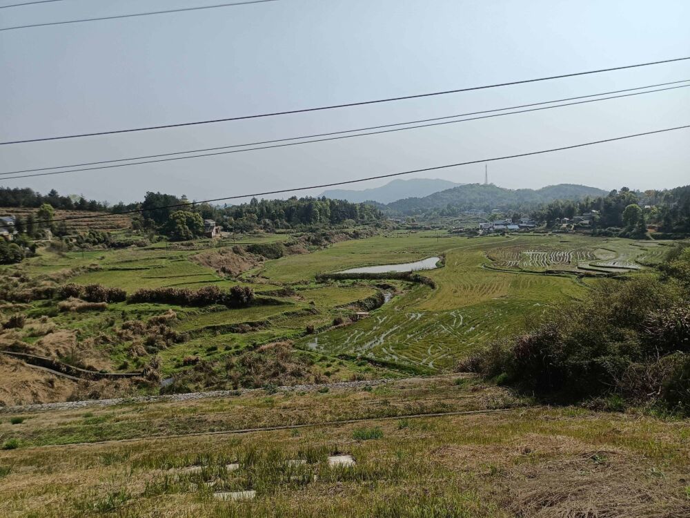 湖南宁乡灰汤偕乐桥高塘水库，山清水美秀如画，山花烂漫映山红