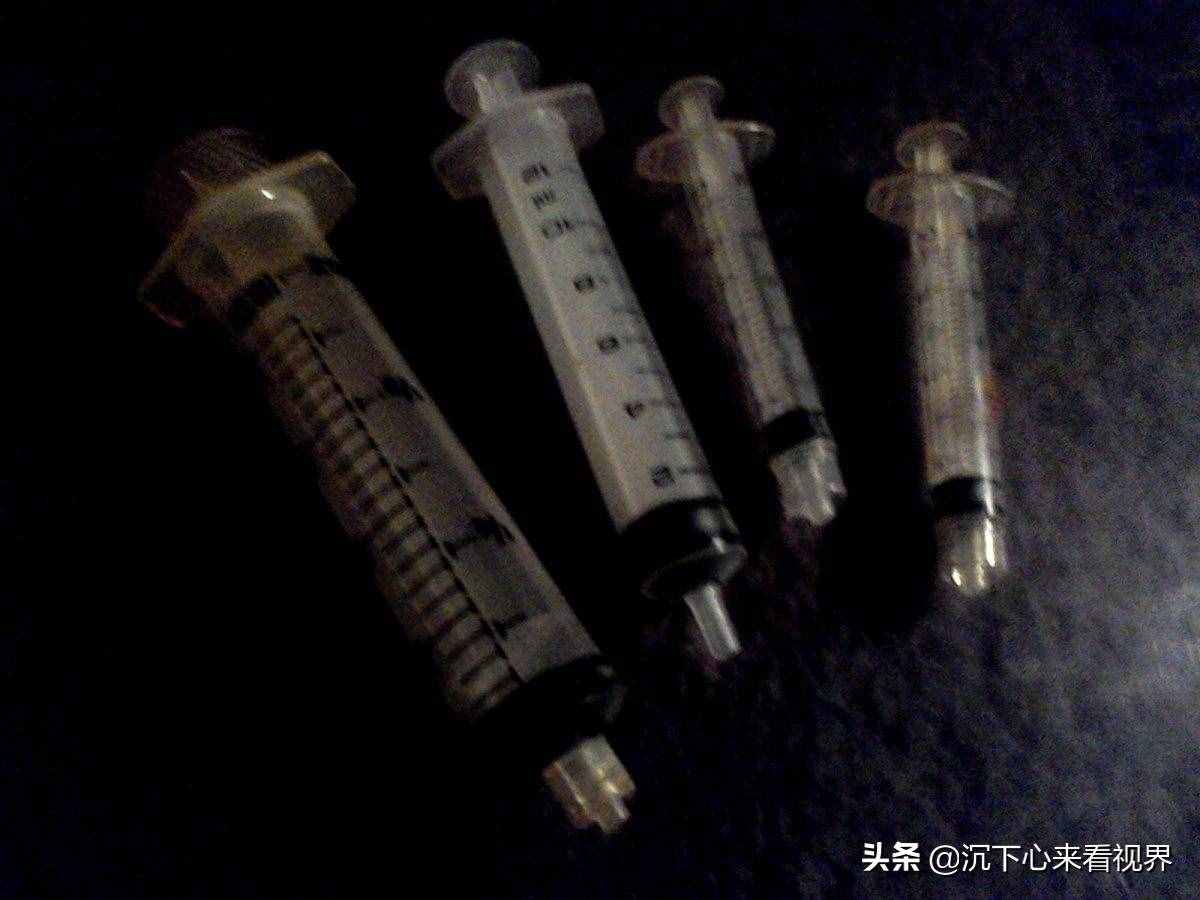 我给一只小鸟喂什么