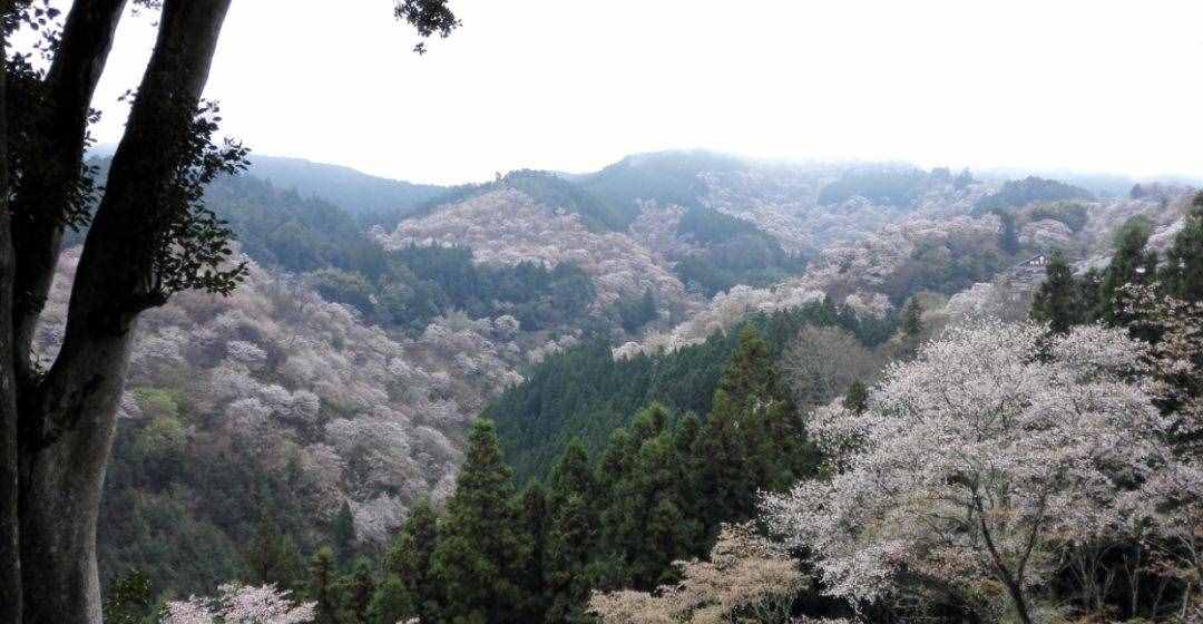 什么时候去日本旅行最便宜，仔细精算后，我列了个全年对照表