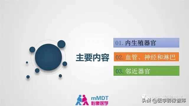 子宫附件影像解剖