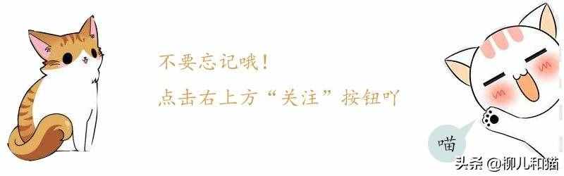 猫尾巴不仅仅能掌握平衡、表达情绪，还在猫友情方面起重要作用