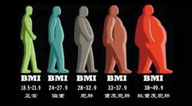 「健康素养小讲堂」什么是体质指数（BMI）？