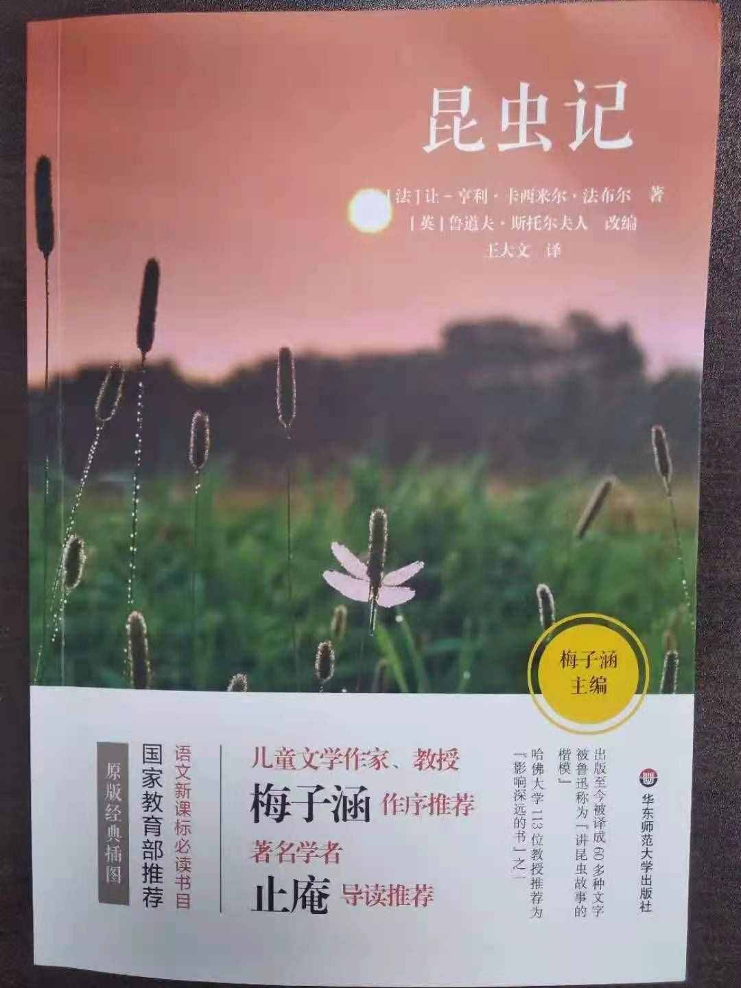 贷款可不查征信，大脑优势可评估，上海发布虚假违法广告典型