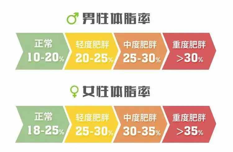 减肥就是减重？关于体脂率的5个问题，1次给你讲清楚