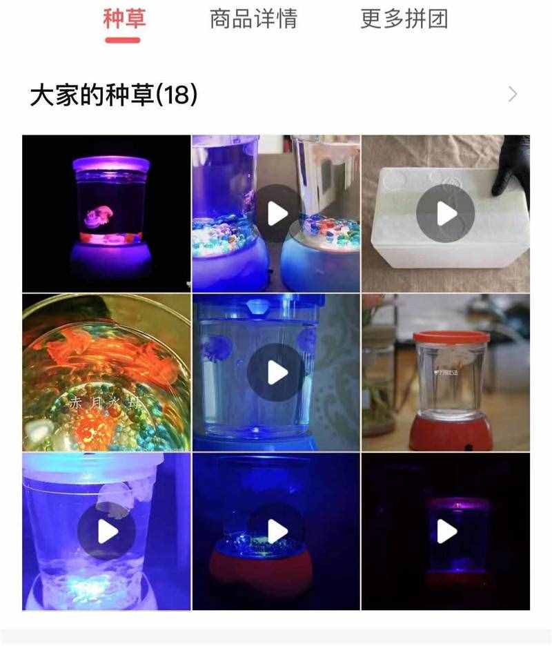 闪闪发光的水母惹人爱，买来当宠物可要小心