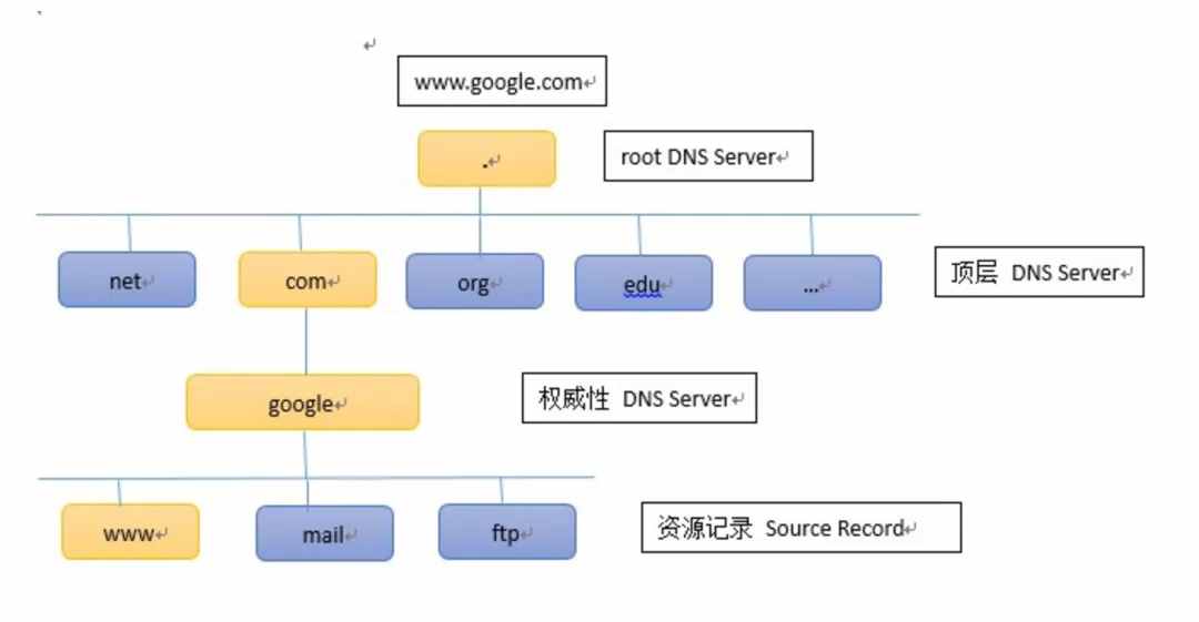 服务部署 - DNS域名解析服务配置
