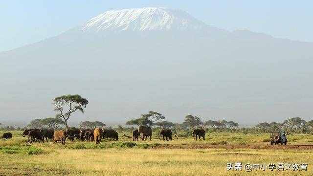 基础知识：八年级语文下册期末重点复习知识梳理（下）