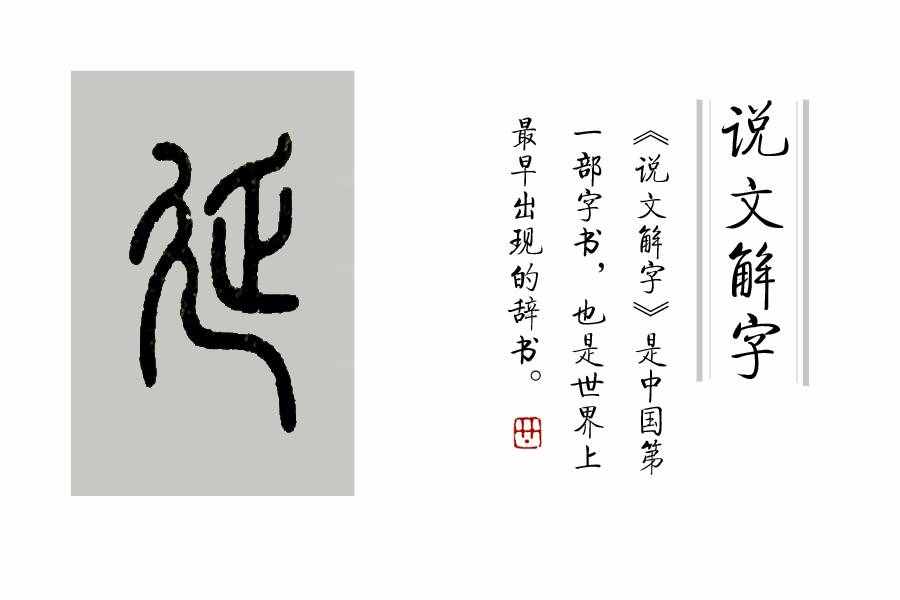 《说文解字》306课：细说“延”字