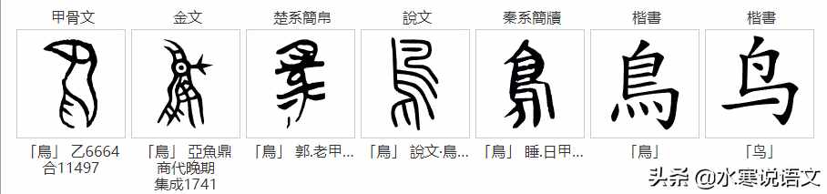 从“鸟”和“乌”的区别说起，追根溯源，发现汉字之美