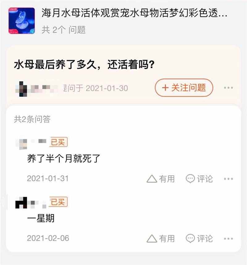 闪闪发光的水母惹人爱，买来当宠物可要小心