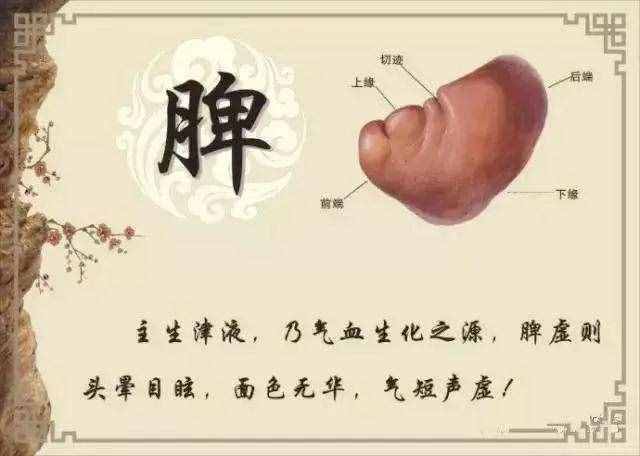 肾虚，却虚不受补，李东垣升阳益胃汤，一升一降，健脾化湿