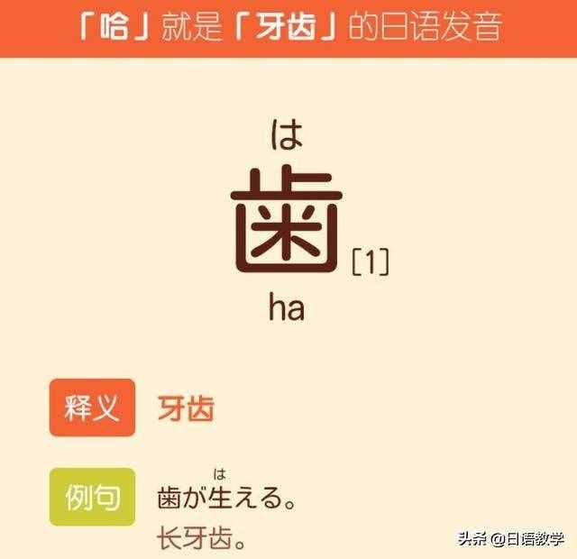 为什么日本人牙齿不齐？你知道多少？