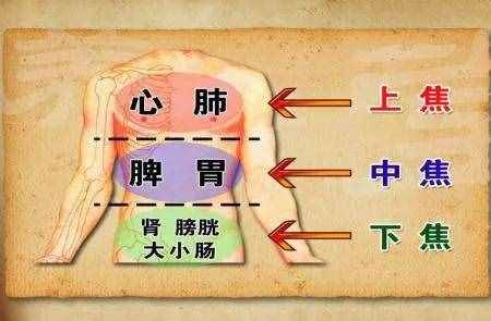 肾虚，却虚不受补，李东垣升阳益胃汤，一升一降，健脾化湿