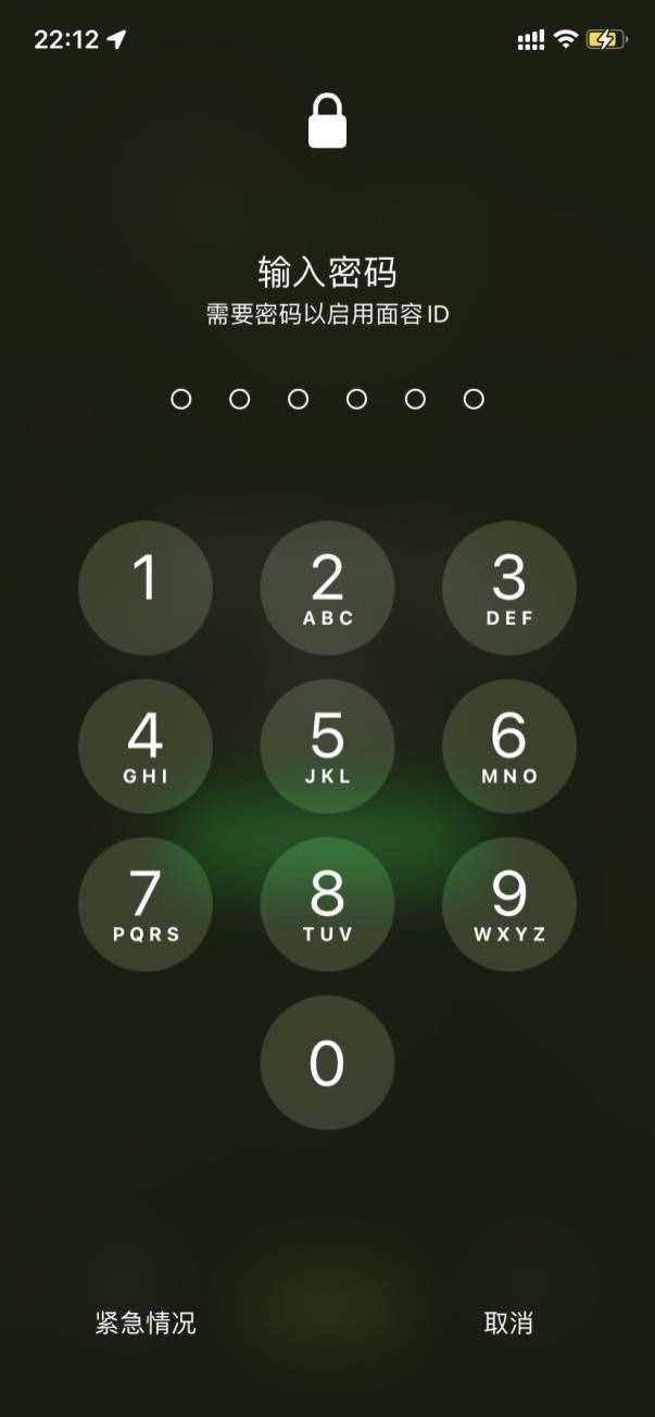 iphone11_ios15 忘记引导式访问密码不刷机清除方法
