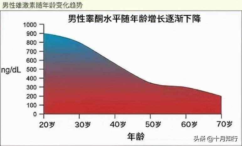 睾酮是什么，有什么作用？如何以自然的方法提升睾酮水平？