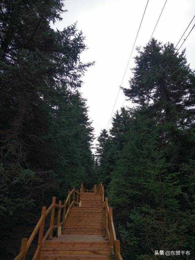 【名句出处】——“天地神灵扶庙社，京华父老望和銮。”