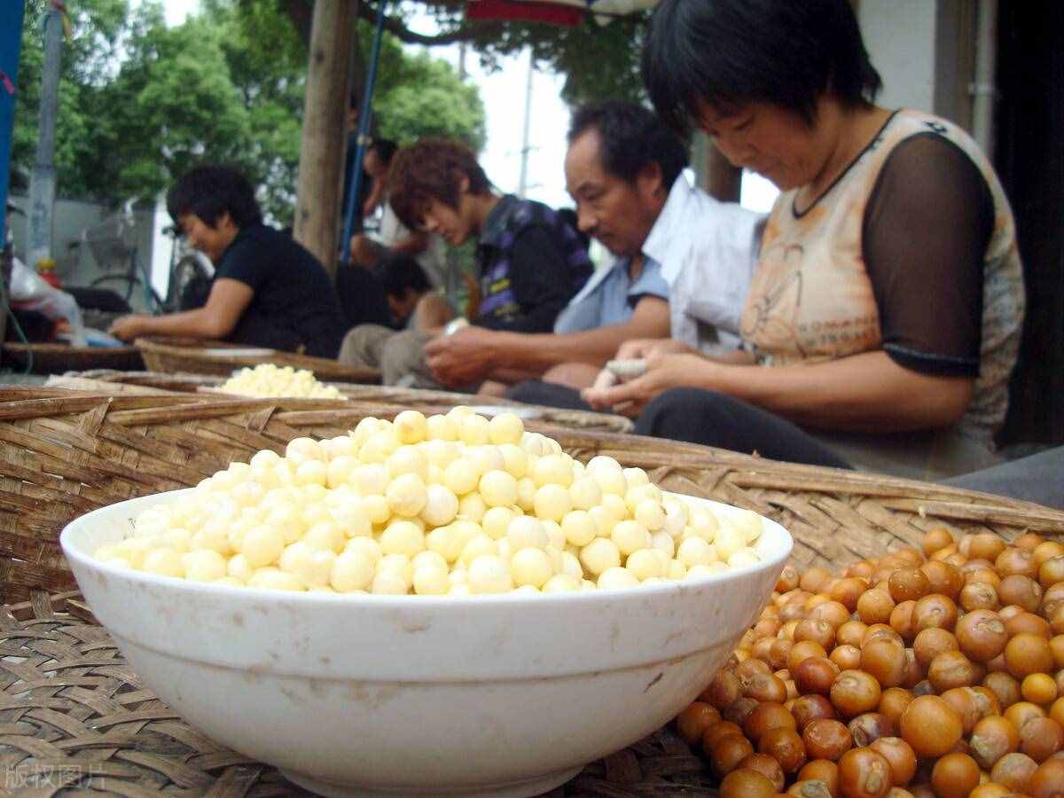 苏州芡实鸡头米，秋日美食上佳品