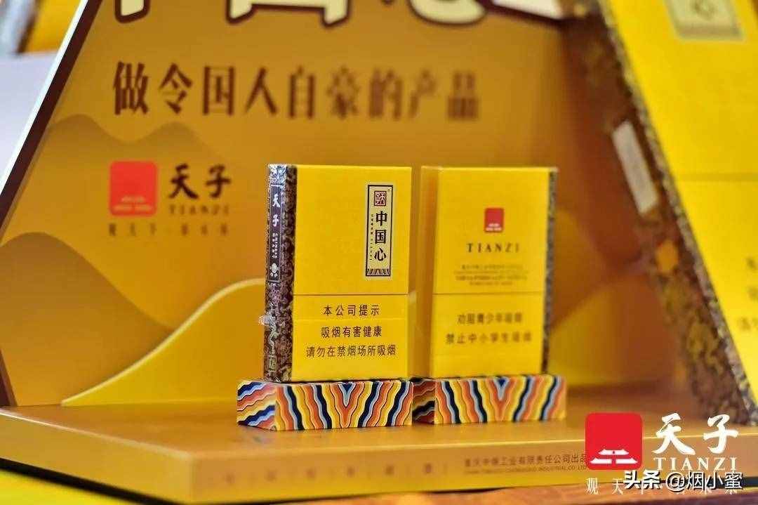 “天子”启新——“天子”品牌新形象暨战略新品发布会在渝召开