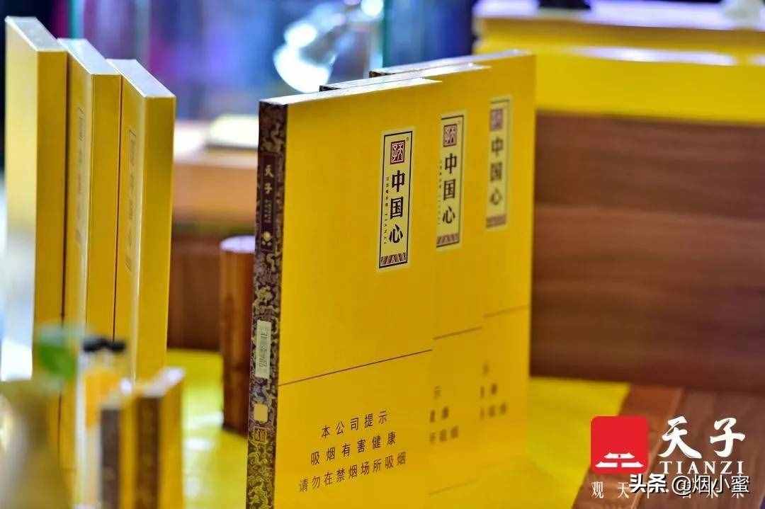 “天子”启新——“天子”品牌新形象暨战略新品发布会在渝召开