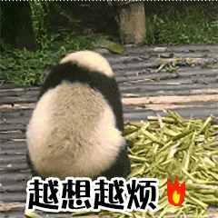 熊猫的尾巴是啥颜色？90%的四川人都答错了！