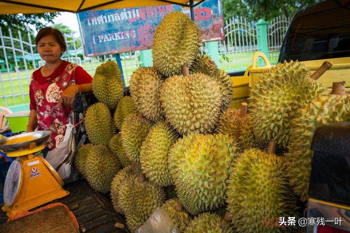 在泰国买榴莲的经历，不仅50元能买个大榴莲，挑选过程更是讲究