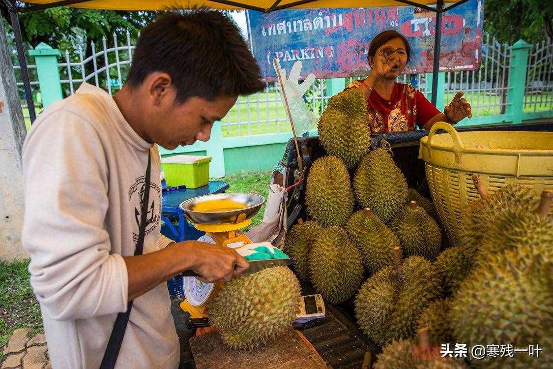 在泰国买榴莲的经历，不仅50元能买个大榴莲，挑选过程更是讲究