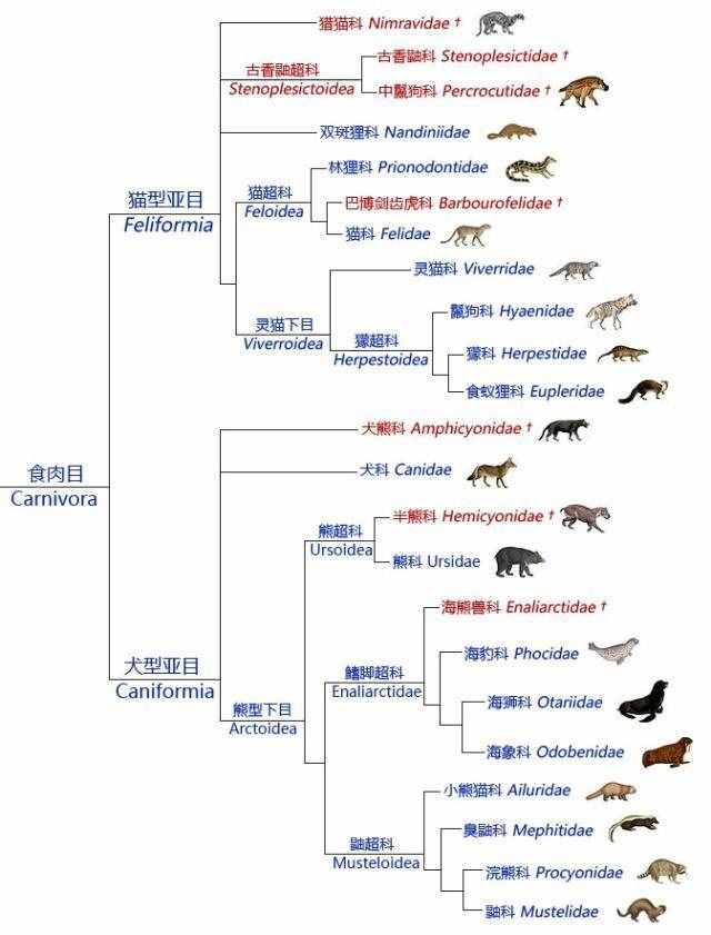 世人对鬣狗存在着哪些误解？