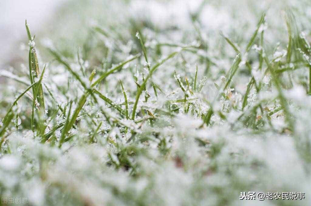 农村俗语：下雪打雷，坟谷成堆，啥意思？年景是好，还是坏？