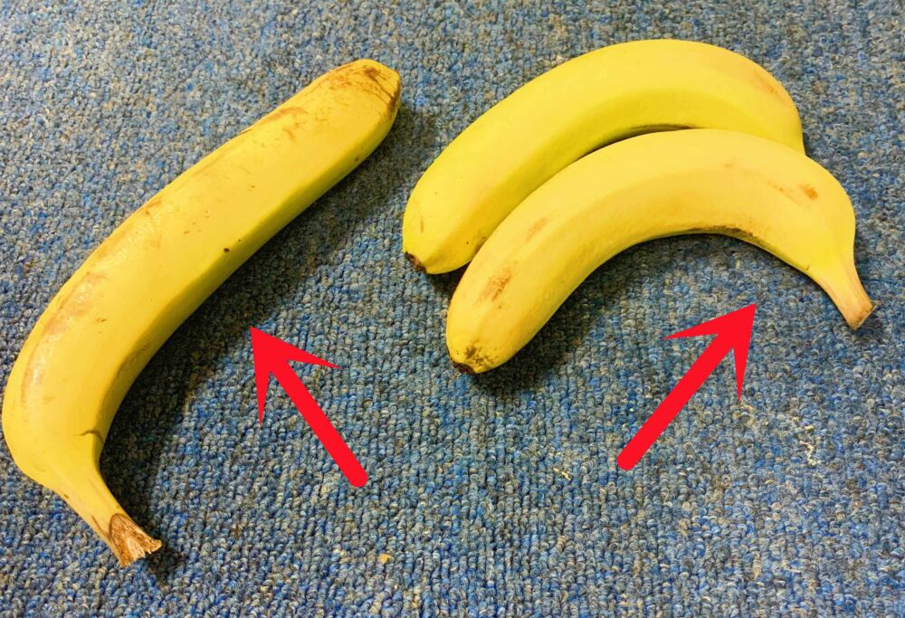 “直香蕉”与“弯香蕉”区别大，吃了30年香蕉，才知道，别买错了