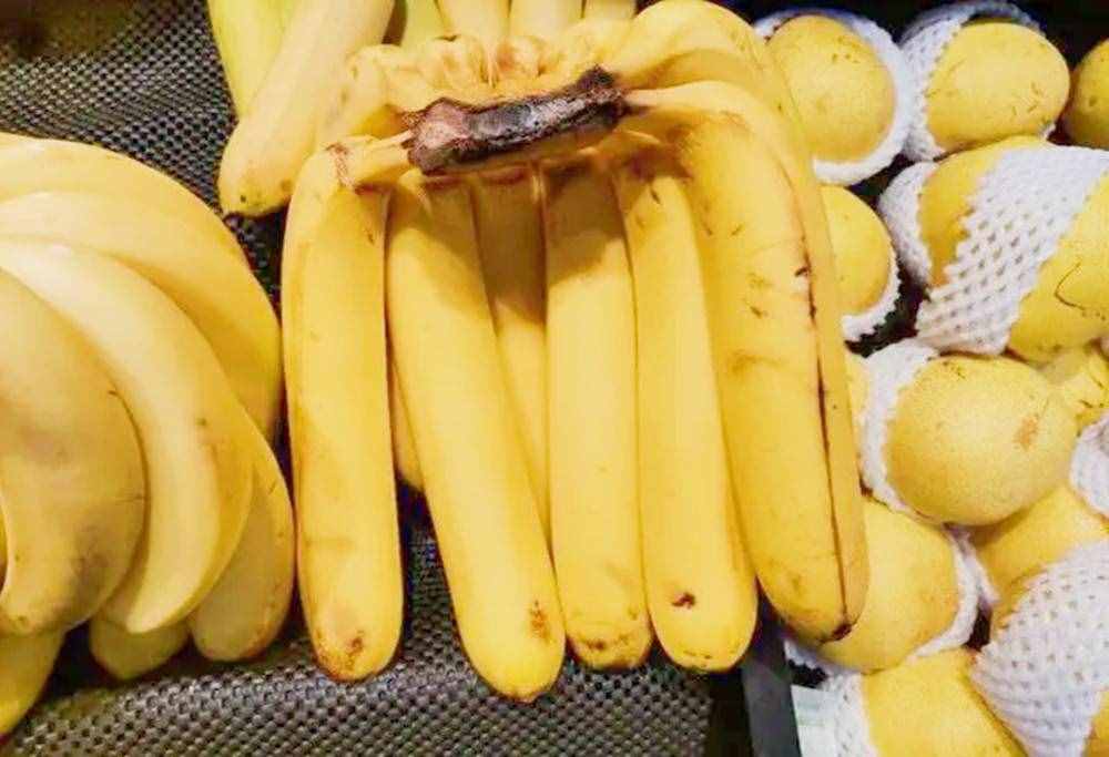 “直香蕉”与“弯香蕉”区别大，吃了30年香蕉，才知道，别买错了