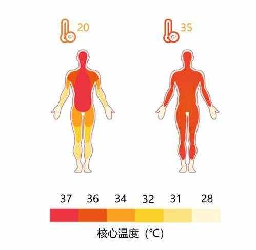 诡异的表现，人在冻死前为什么会脱去衣服，甚至面带微笑？