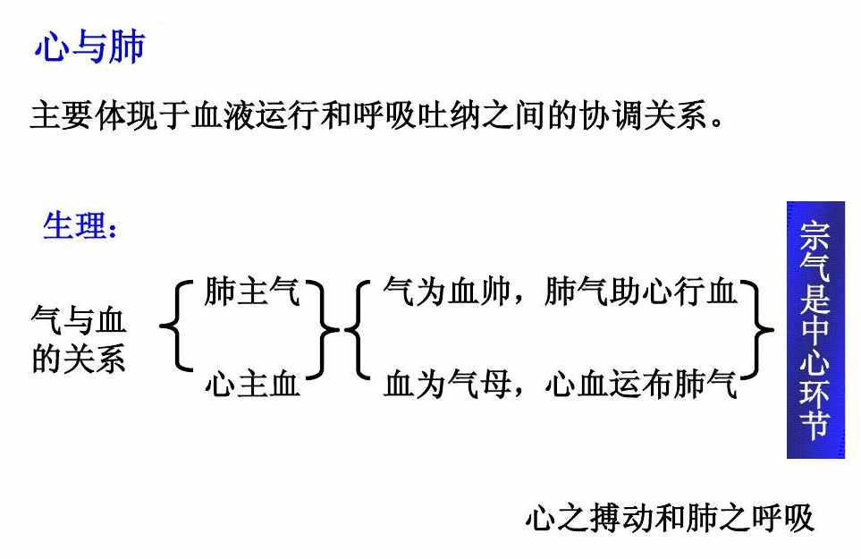 慢性鼻炎真的治不好吗？鼻炎反复，关键不在鼻腔，而在脏腑失调