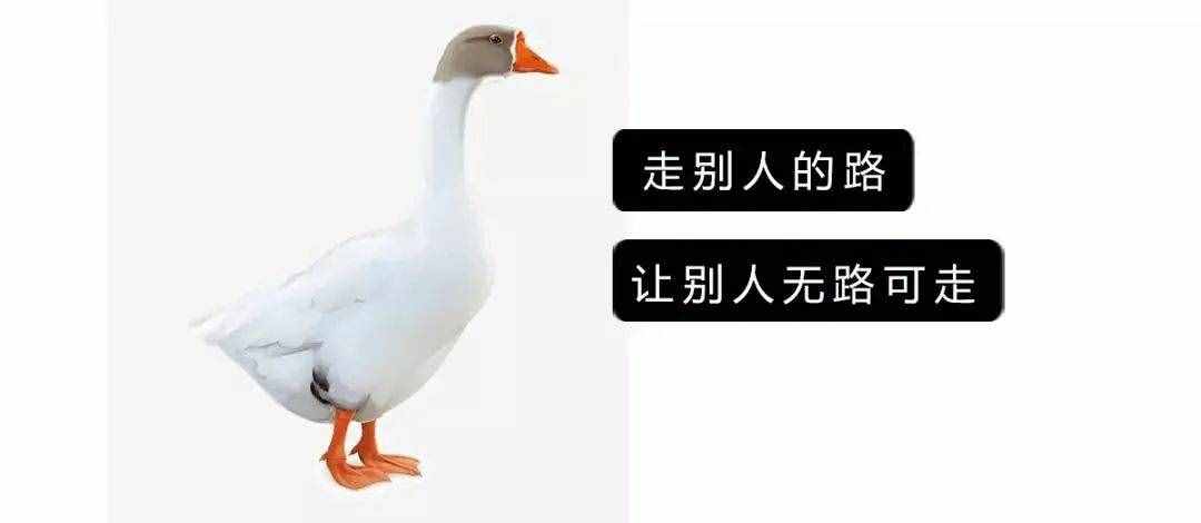 你想象不到！一只鹅的“战斗力”有多强？