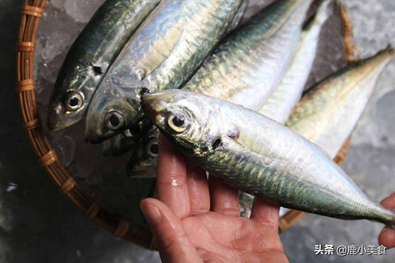 买海鱼，懂吃人专挑这6种，都是纯野生无法养殖，好吃不贵还营养