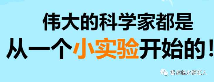 「三年创意作文」我做了一项小实验——水中的鸡蛋浮起来了（二）