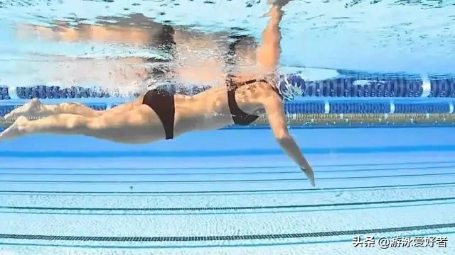 自由泳划水动作应该怎么拆解着练习？
