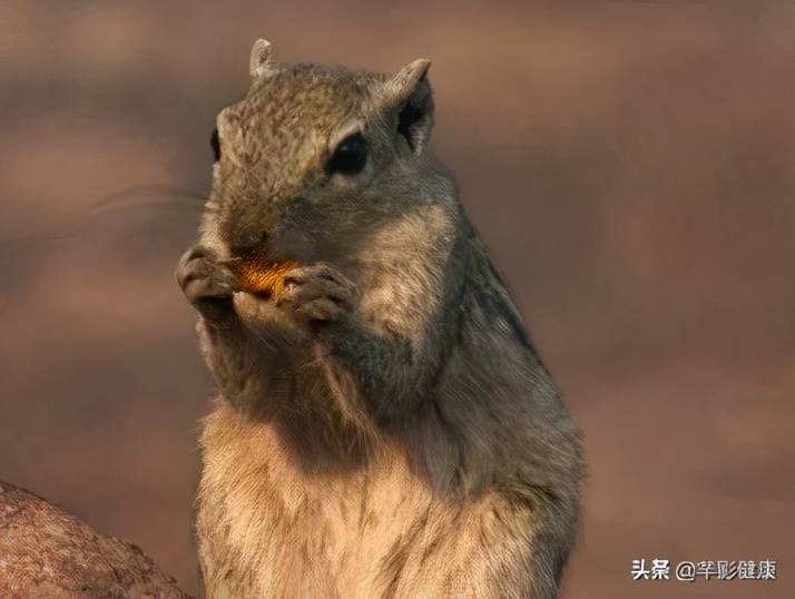 双下巴很难看，四个方法快速帮你减去双下巴