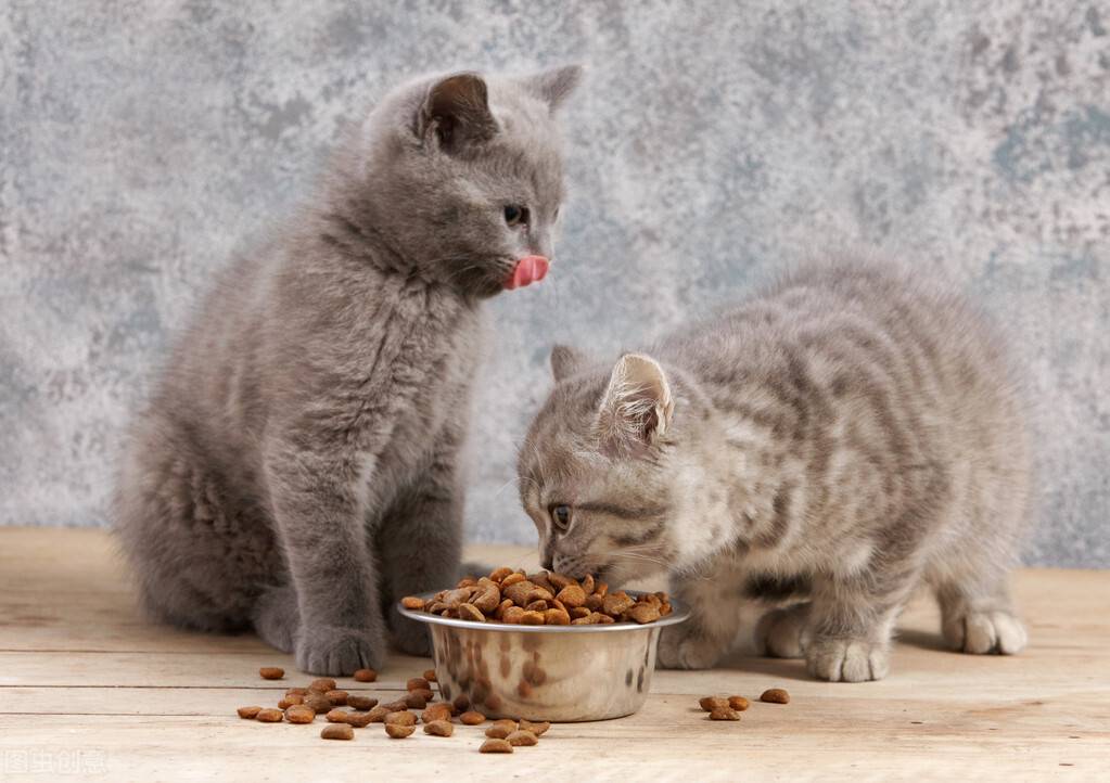 猫咪有泪痕，少吃2物，常吃5物，泪痕自然会消掉