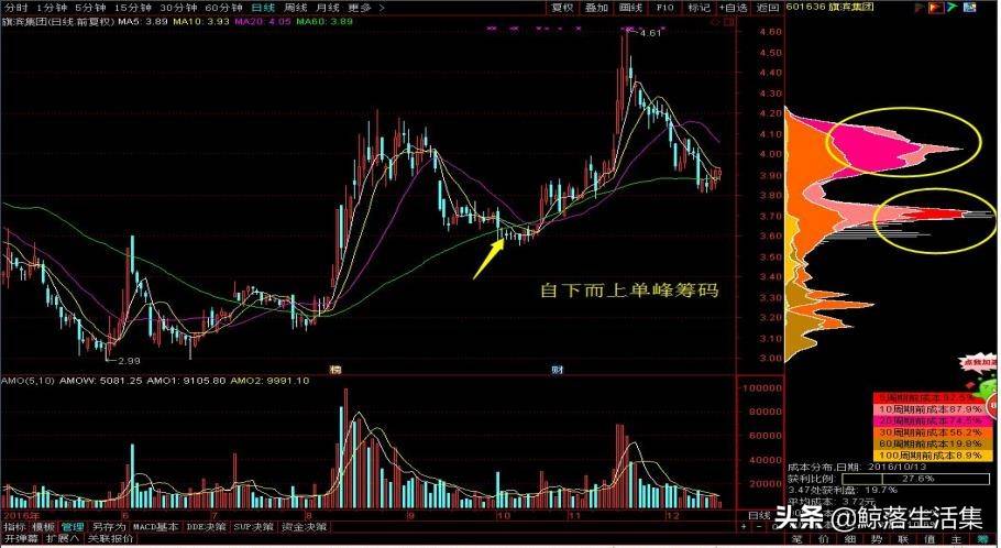 价值万元的炒股秘籍-主力筹码分析，跟着主力才能赚钱