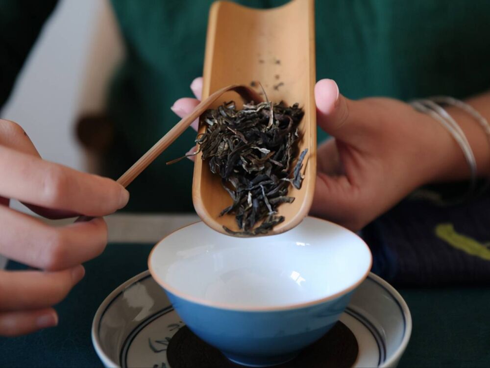 印级茶你只识红印、绿印、黄印？经典蓝印也是普洱茶历史上的一角