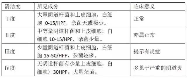 3分钟教你看懂白带常规检查报告