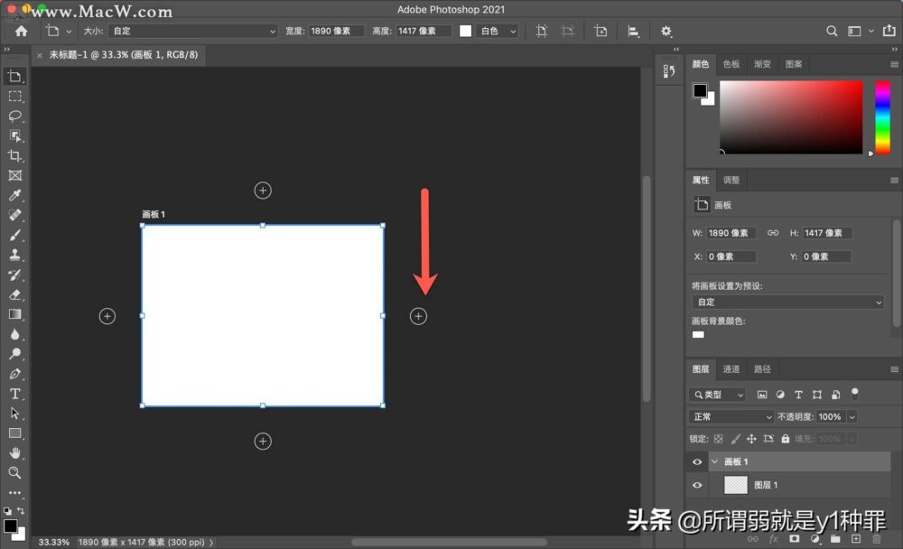 「Photoshop2021入门教程」创建用于制作名片的画板